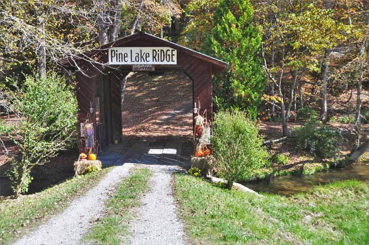 covered bridge